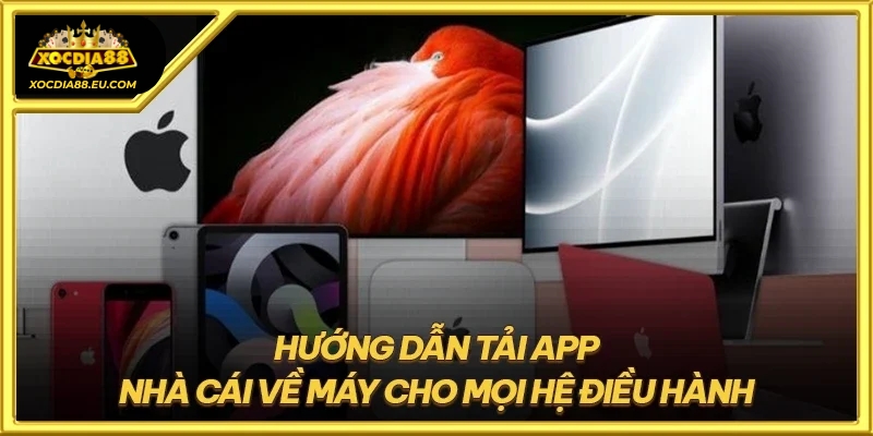 Hướng dẫn tải app Xocdia88 trên điện thoại